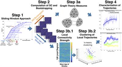 Development of Structural Covariance From Childhood to Adolescence: A Longitudinal Study in 22q11.2DS